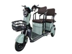 IRGC40 High-End Mini Golf Cart, Green