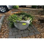 Concrete Planter with Plants
