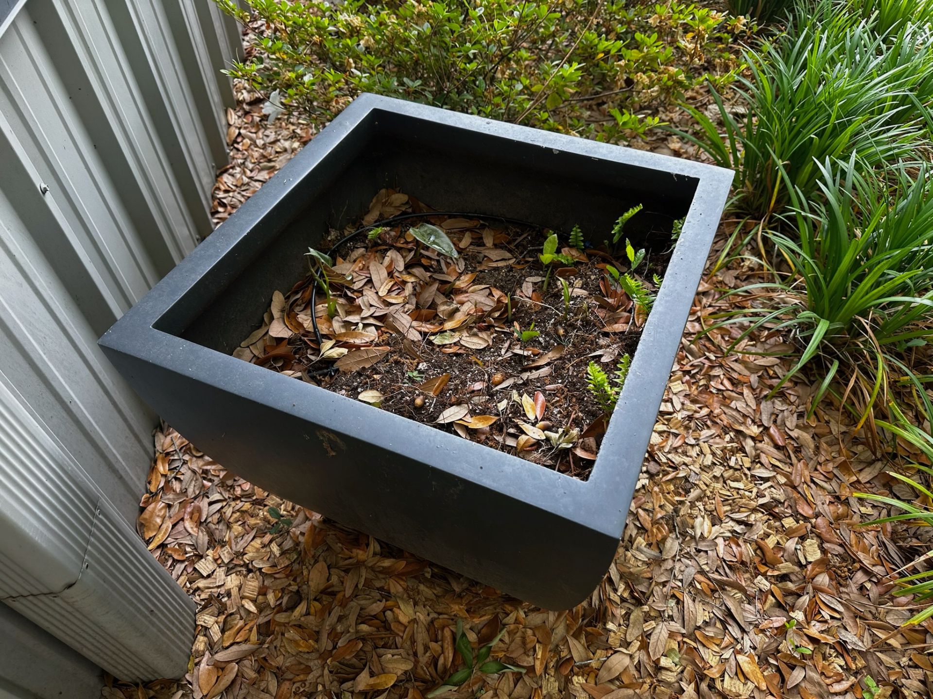 Set of 2 Planters - Image 4 of 4