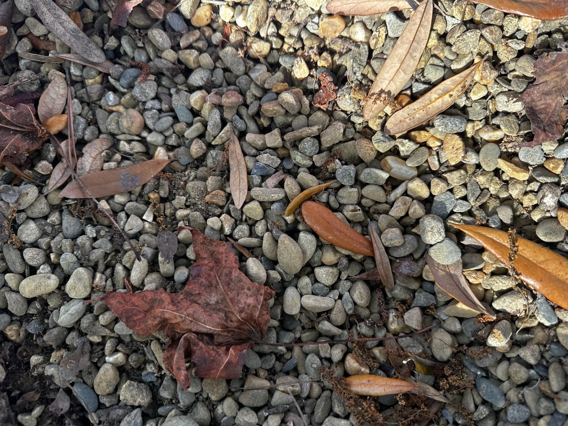 Small/Medium River Rock - Image 3 of 4