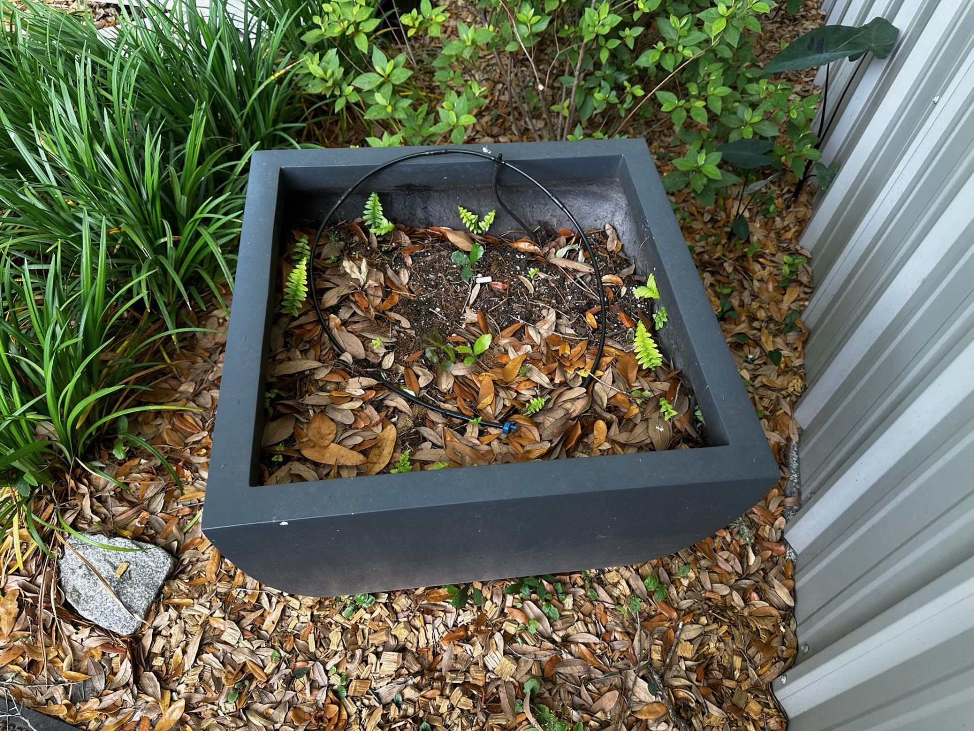 Set of 2 Planters - Image 3 of 4