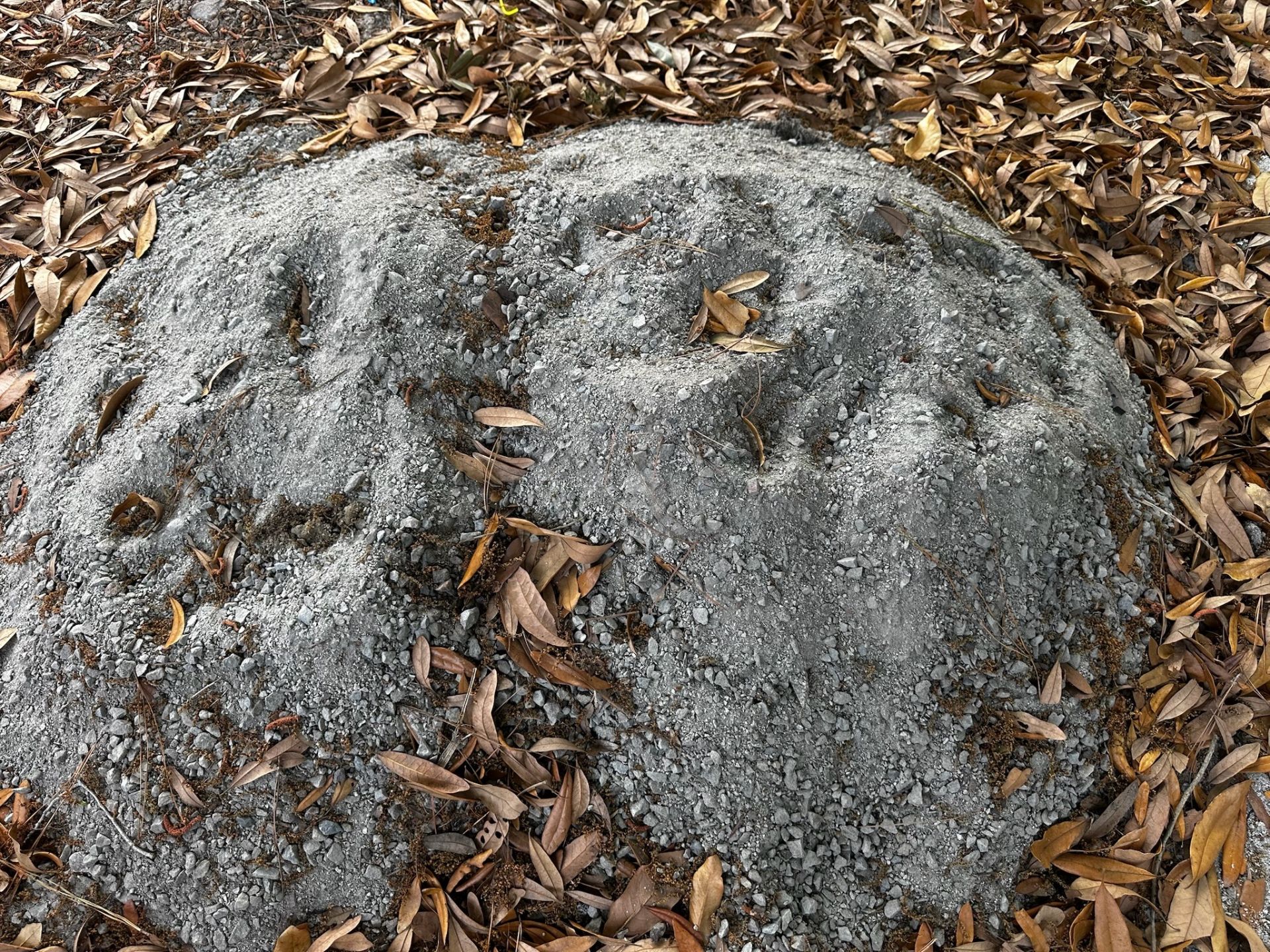 Bulk Sand and Base Material - Image 5 of 5