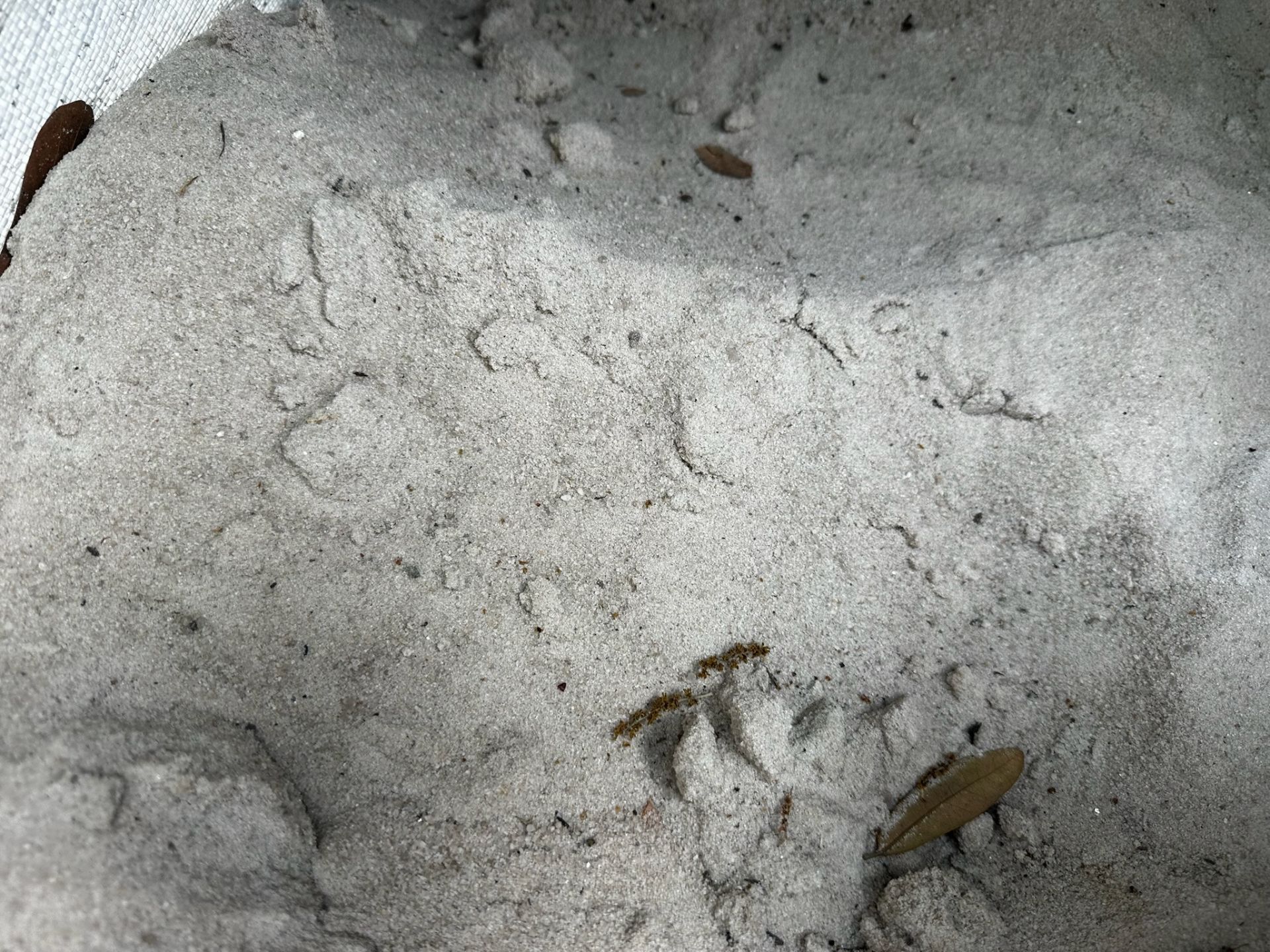 Paver Base Material - Image 3 of 3