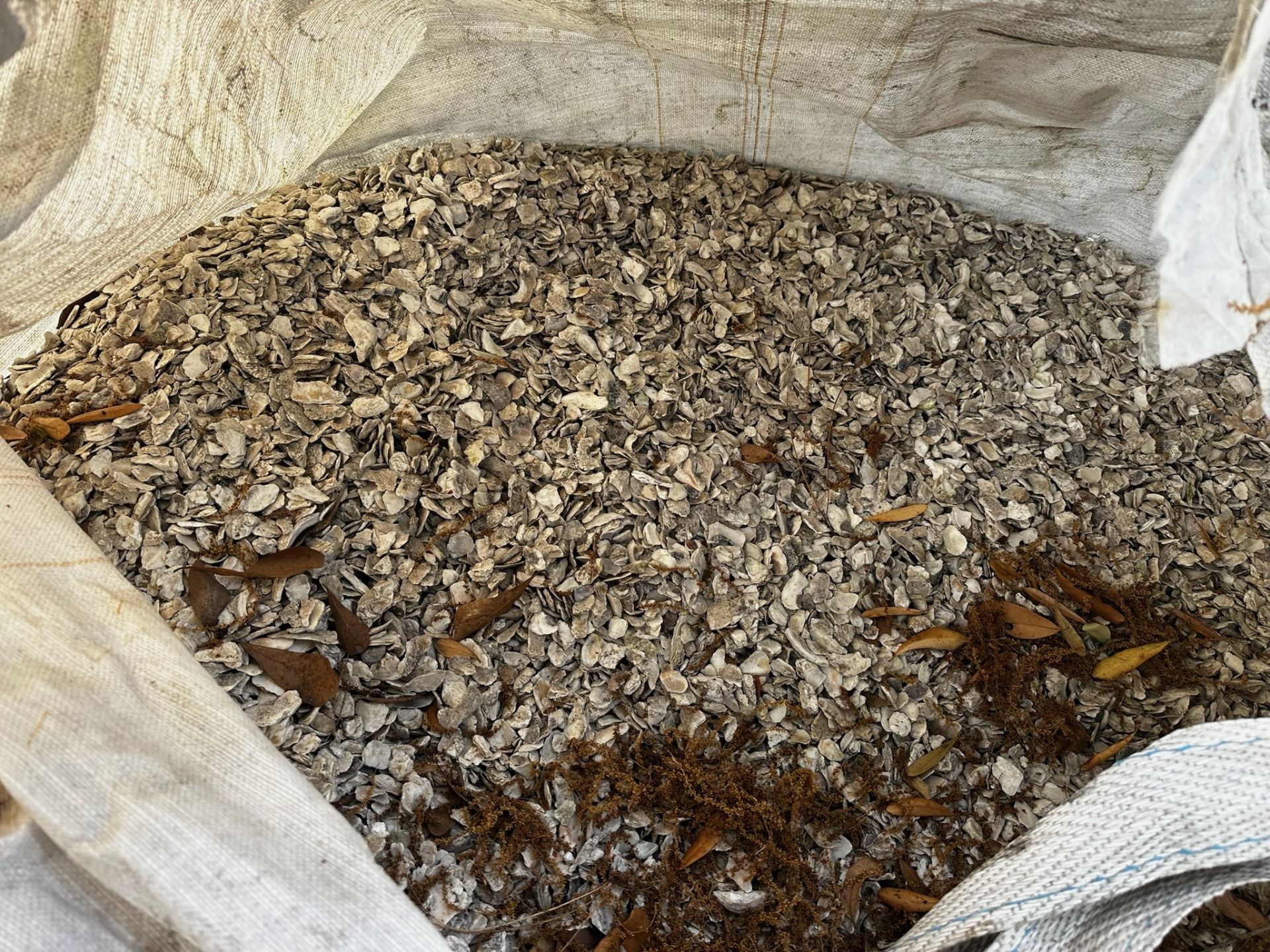 Crushed Oyster Shells - Image 2 of 4