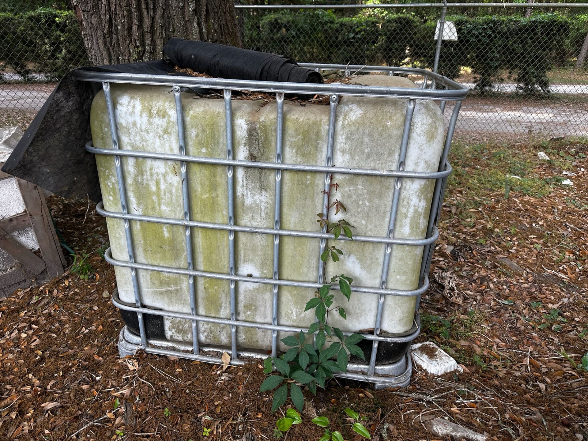 IBC Tote - Image 3 of 4