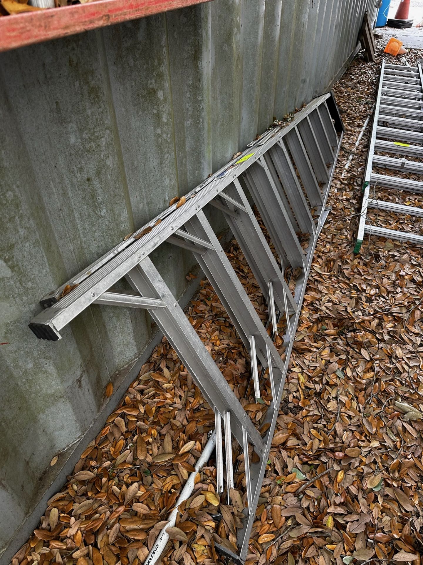 10' Werner Folding Ladder