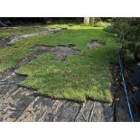 Assorted Sod