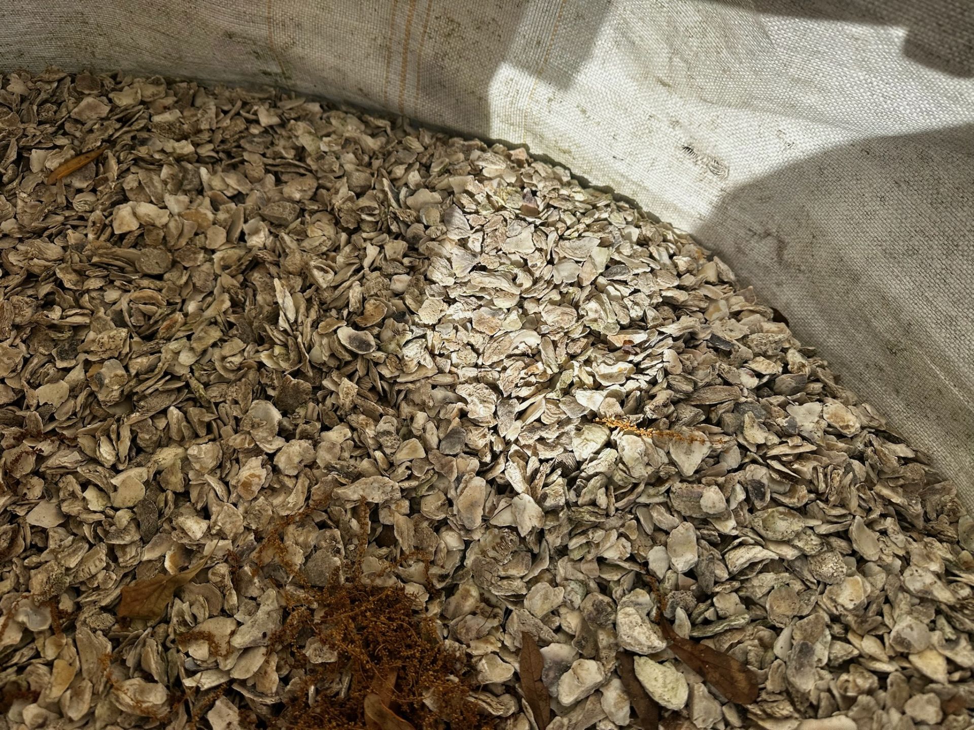 Crushed Oyster Shells - Image 3 of 4