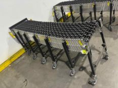 Expandable Gravity Conveyor