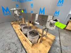 STRAIGHT SECTION OF BOSTON CONVEYOR WITH (3) ROLLS OF INTRALOX STYLE CONVEYOR, APPROX. 63 IN. L X 13