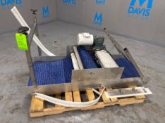 Capway S/S Belt Conveyor