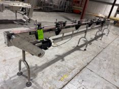 Nedco S/S Product Conveyor Section