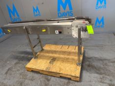 S/S CONVEYOR SECTION