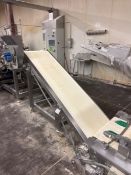 INCLINE DISCHARGE CONVEYOR