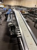 S/S DECLINE PACK OFF CONVEYOR