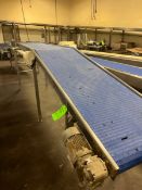 S/S DECLINE BELT CONVEYOR