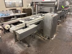 HINDS-BOCK DUAL LANE STRAIGHT SECTION OF PAN CONVEYOR