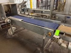 STRAIGHT SECTION OF S/S CONVEYOR