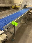 SECTION OF S/S BELT CONVEYOR