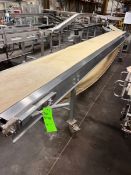 SECTION OF S/S BELT CONVEYOR