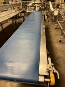 S/S BELT CONVEYOR