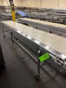 S/S BELT CONVEYOR