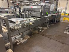 HINDS-BOCK DEPOSITING CONVEYOR LINE