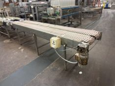 STRAIGHT SECTION OF DUAL BELT CONVEYOR