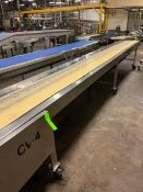 S/S BELT CONVEYOR
