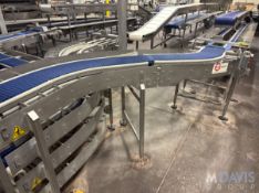 CBF BAKERY S-TYPE CONVEYOR