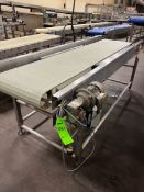 S/S BELT CONVEYOR