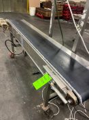 S/S BELT CONVEYOR