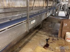 CBF BAKERY SYSTEMS STRAIGHT SECTION OF CONVEYOR