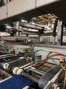 CAPWAY SYSTEMS ROBOT PAN SYSTEM