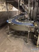 180 DEGREE S/S CONVEYOR