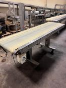 S/S BELT CONVEYOR