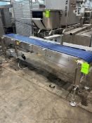 STRAIGHT SECTION OF S/S CONVEYOR