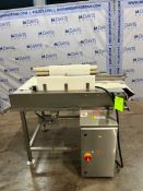 SAVAGE BROS S/S CONVEYOR