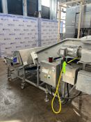 S/S INCLINE CONVEYOR WITH METTLER TOLEDO METAL DETECTOR