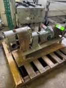 5 HP TRI-CLOVER POSITIVE DISPLACEMENT PUMP