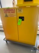 FLAMMABLE STORAGE CABINET