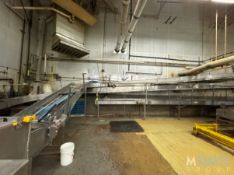 STRAIGHT SECTIONS & CURVE SECTIONS OF CONVEYOR