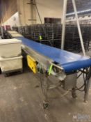 (2) SECTIONS OF CONVEYOR