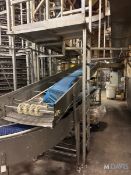 STRAIGHT & CURVE SECTION OF CONVEYOR