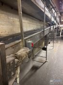 CBF BAKERY SYSTEMS STRAIGHT & CURVE SECTION OF S/S CONVEYOR