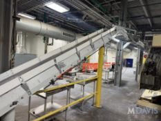 BSA SCHEIDER ANLAGENTECHNIK OVERHEAD S/S BELT CONVEYOR