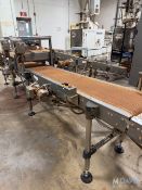 SECTION OF BELT CONVEYOR