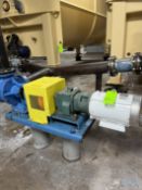 VIKING POSITIVE DISPLACEMENT PUMP