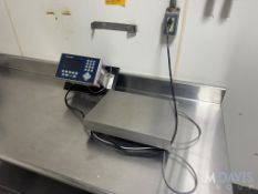 METTLER TOLEDO DIGITAL PLATFORM SCALE