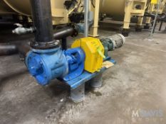 VIKING 7.5 HP ROTARY POSITIVE DISPLACEMENT PUMP